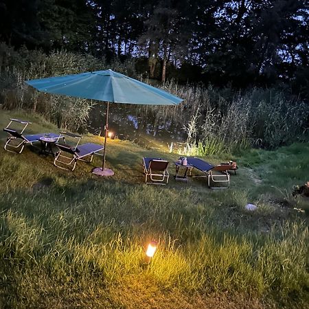 Home Of Oasis - Indoorpool, Sauna, Naturteich Surwold Bagian luar foto